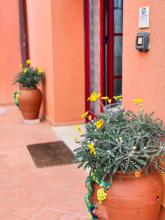 Regina Del Mare Holiday Apartments Tirrenia Aparthotel