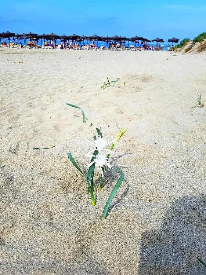 Regina Del Mare Holiday Apartments Тиррения 0*,  Италия